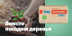 Посадим деревья вместе с Knauf!