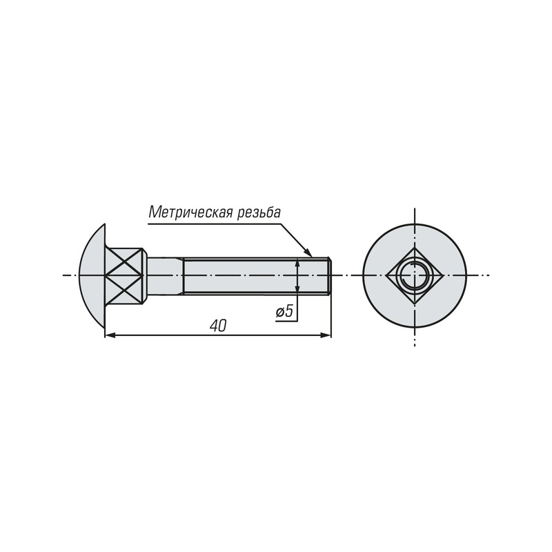 Болт мебельный SWFS DIN603 М5х40 (3500 шт)